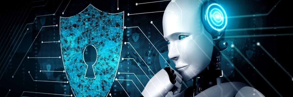 AI Privacy