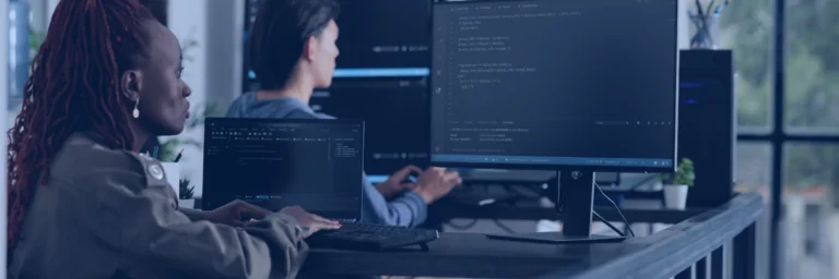 Software Development Life Cycle
