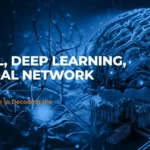 decoding-the-differences