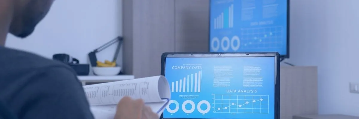 Data Profiling
