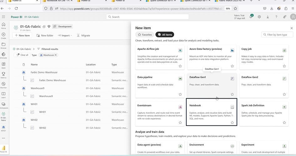 Microsoft Fabric Notebook