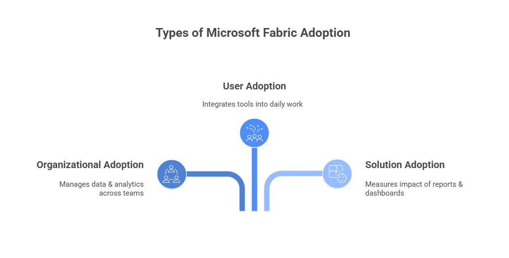 Types of Microsoft Fabric Adoption