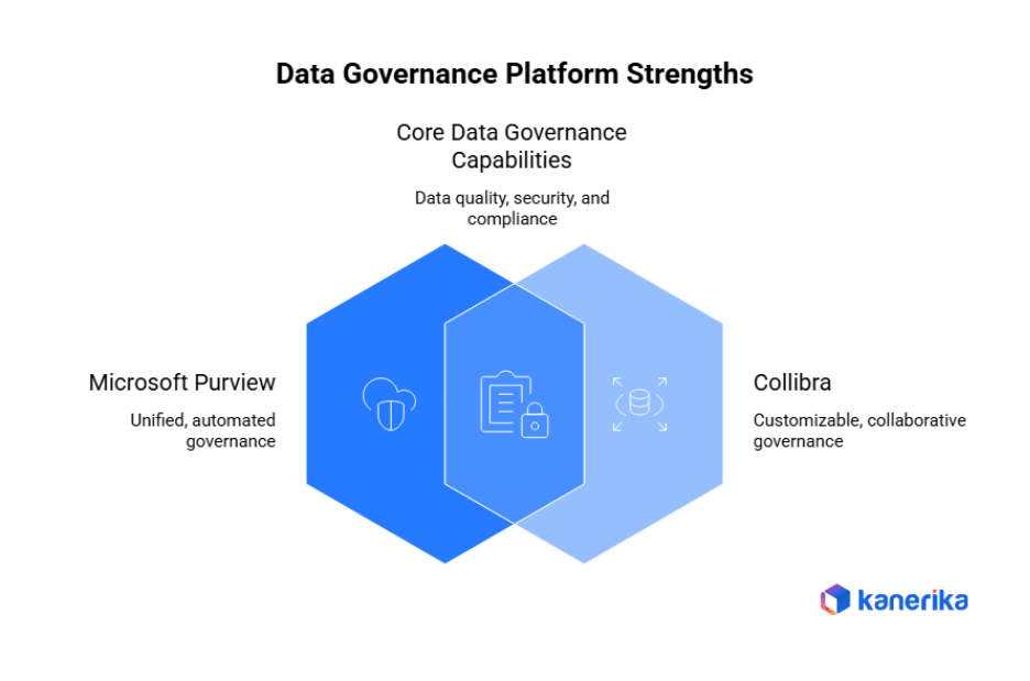 Data Governance Platform Strengths