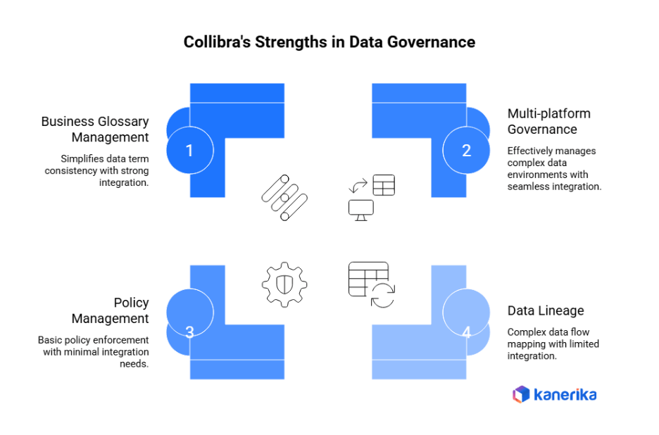 Collibra's Strengths in Data Governance