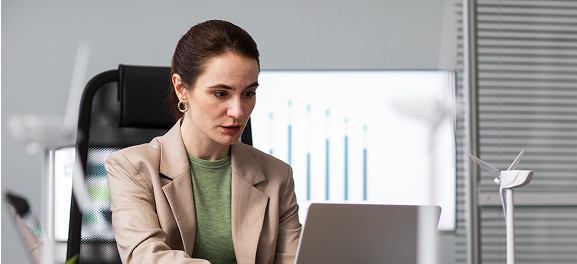 Real Estate Developer