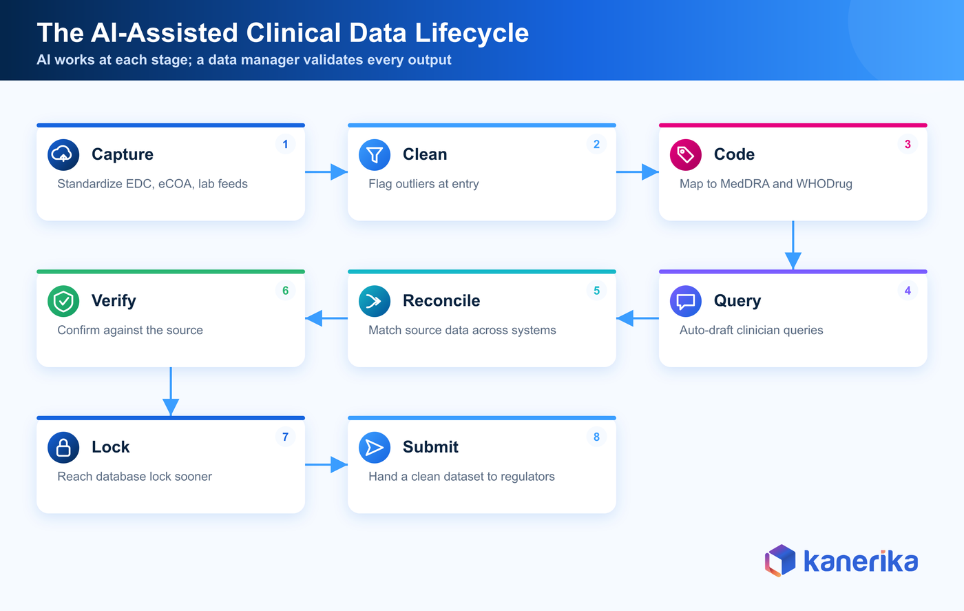 Kanerika infographic of the AI-assisted clinical data lifecycle showing eight stages from capture and clean to code, query, reconcile, verify, lock, and submit
